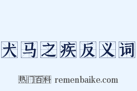 犬马之疾反义词是什么意思的图片